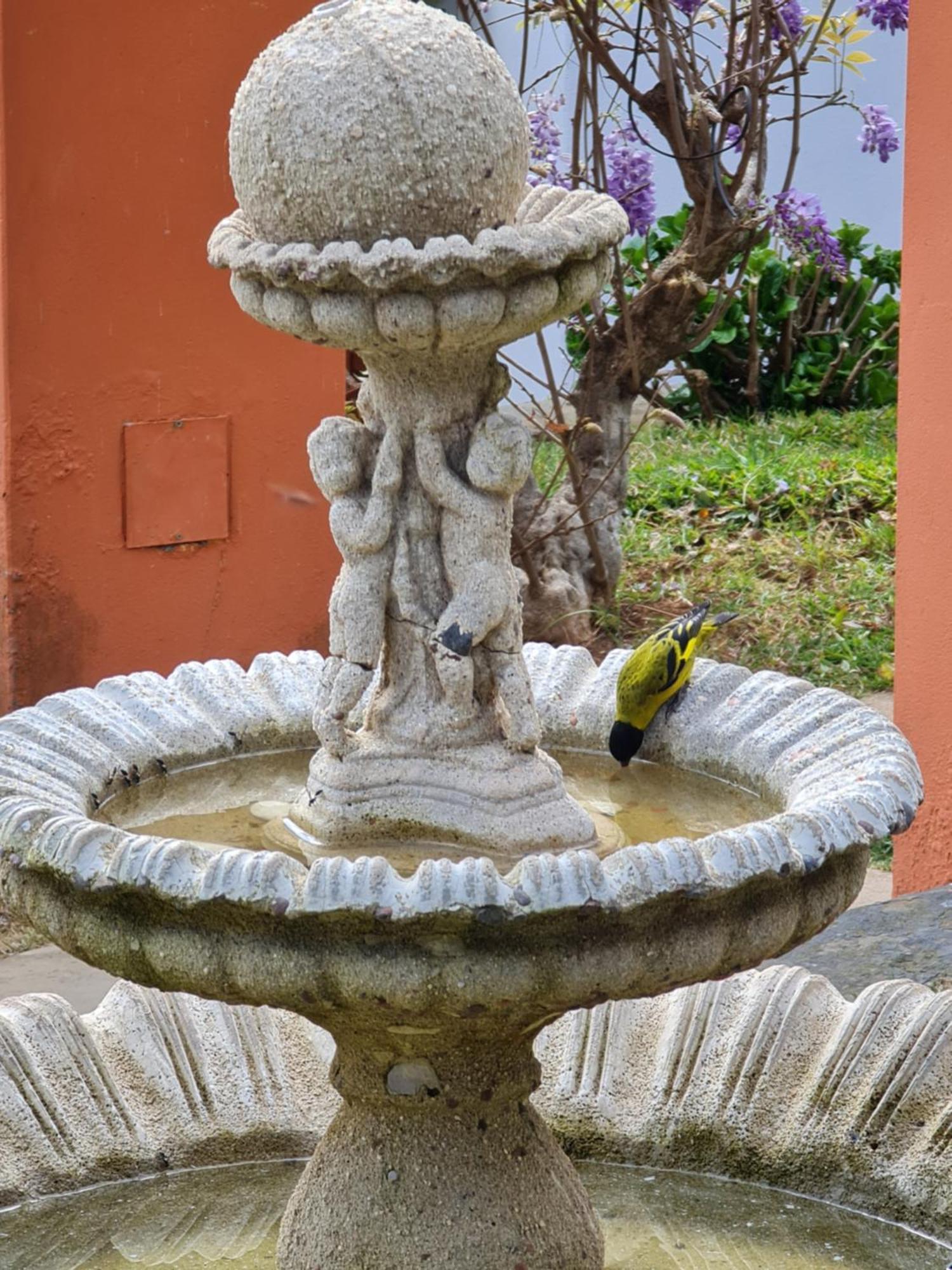 Chales Valle Florido Monte Verde  Exterior photo